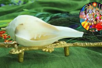 Importance of Shankh : लक्ष्मी नारायण पूजा में क्यों अनिवार्य है शंख? जानिए इसका पौराणिक महत्व और रहस्य