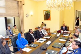 Pahalgam attack: पहलगाम हमले के बाद पाकिस्तान NSC की आपात बैठक में भारतीयों को देश छोड़ने का आदेश