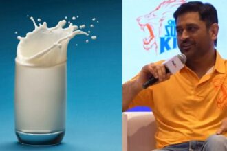 MS Dhoni : धोनी ने बताया सच - 5 लीटर नहीं.... इतना दूध पीता हूँ