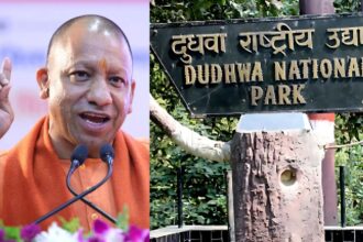 UP: योगी सरकार की नई पहल, दुधवा में पर्यटन को मिलेगा नया आयाम, थारू जनजाति की संस्कृति बनेगी आकर्षण का केंद्र