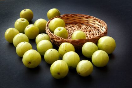 Benefits of Amla: गर्मियों में क्यों ज़रूरी है आंवला? जानिए इसके अद्भुत फायदे और सेवन का सही तरीका
