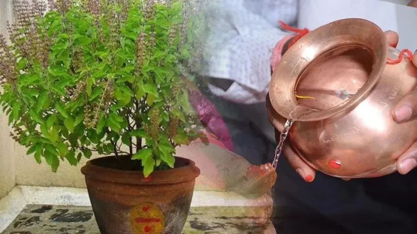 Tulsi Puja: घर में तुलसी लगाने और पूजन से मिलता है शुभ फल, जानें धार्मिक महत्व और सही पूजा विधि, जिससे होगी धन वर्षा