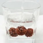 Rudraksha Water :  प्राचीन आस्था से आधुनिक सेहत तक, जानिए रुद्राक्ष का पानी पीने के प्रमुख स्वास्थ्य लाभ
