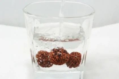 Rudraksha Water :  प्राचीन आस्था से आधुनिक सेहत तक, जानिए रुद्राक्ष का पानी पीने के प्रमुख स्वास्थ्य लाभ
