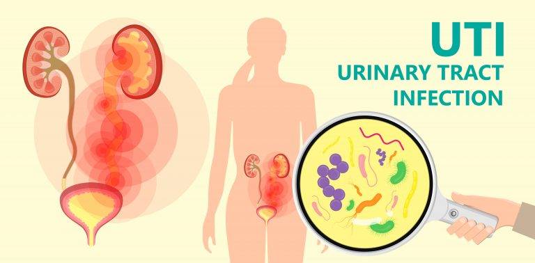 Urine infection: बार-बार हो रहा है यूरिन इंफेक्शन? जानिए कारण, बचाव और डॉक्टर की सलाह