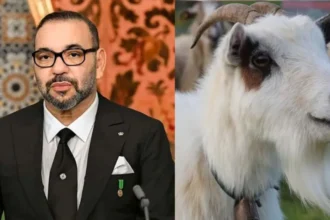 Bakrid 2025: King Mohammed VI का आदेश, बकरीद पर कुर्बानी बैन, Morocco में धर्म बनाम नीतियों की जंग