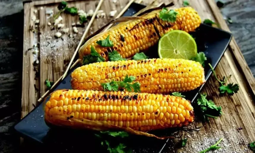 Benefits of eating corn : भुट्टा खाने के 5 बड़े फायदे, बारिश के मौसम में सेहत को बनाए रखें तंदरुस्त