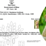 फर्जीवाड़े का अजीबोगरीब मामला: "डॉग बाबू S/O कुत्ता बाबू" के नाम से बना निवास प्रमाण पत्र, प्रशासन में मचा हड़कंप