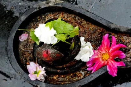 शिवलिंग पर चढ़ाएं सही फूल, पूरी हो सकती है आपकी हर मनोकामना – जानिए कैसे
