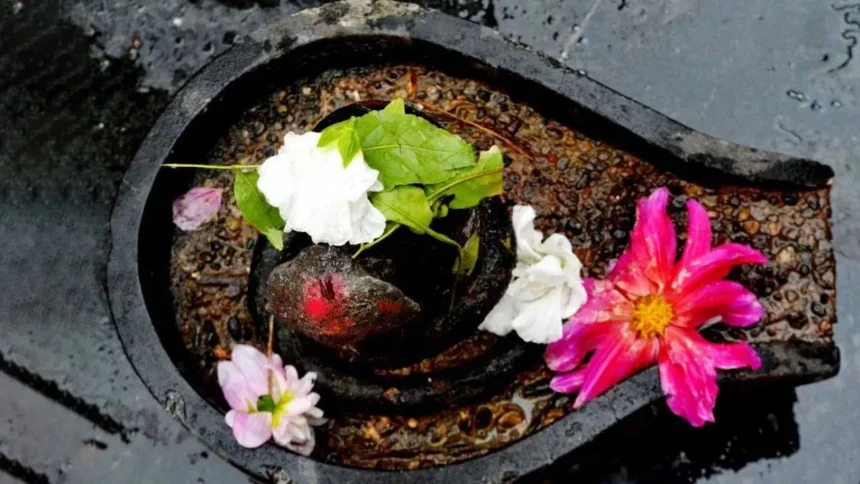 शिवलिंग पर चढ़ाएं सही फूल, पूरी हो सकती है आपकी हर मनोकामना – जानिए कैसे
