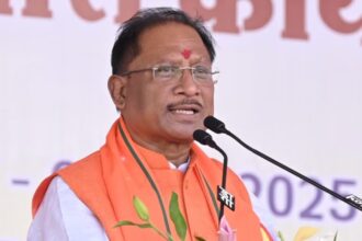 CG News: छत्तीसगढ़ सरकार की नई पहल, "CM आईटी फेलोशिप कार्यक्रम" से युवाओं को मिलेगा डिजिटल शिक्षा का अवसर