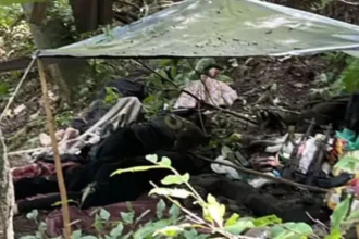 Operation Mahadev: ऑपरेशन महादेव में पहलगाम हमले का मास्टरमाइंड हाशिम मूसा ढेर, श्रीनगर में 3 पाकिस्तानी आतंकी मार गिराए, आतंकियों के पास मिला अमेरिकी M4 कार्बाइन