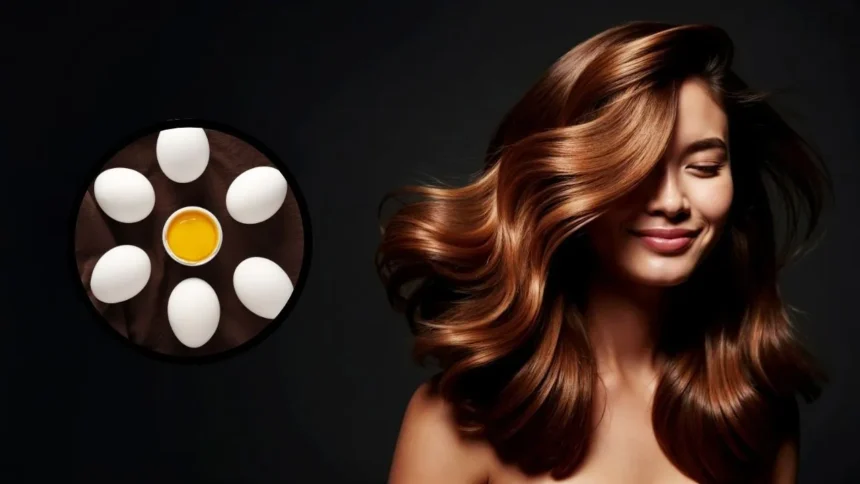 Egg Uses for Hair: बालों की मजबूती के लिए अंडा है फायदेमंद, झड़ने और रूखापन से बचाने के लिए अपनाएं ये टिप्स
