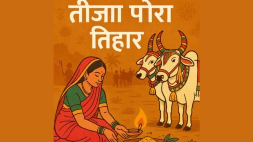 Tija Pora 2025: तीजा-पोरा कब है और क्यों मनाया जाता हैं जानें तारीख, परंपराएं और महत्व, पूरी जानकारी