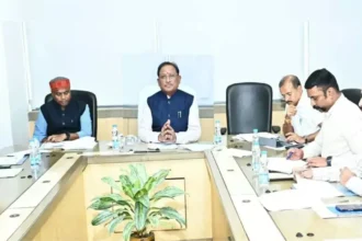 छत्तीसगढ़: CM साय ने की वन विभाग की समीक्षा, वन्यप्राणी हमलों से नुकसान पर त्वरित और संवेदनशील कार्रवाई के निर्देश