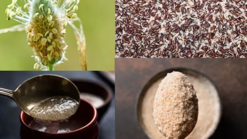 Health Tips: पेट की कई समस्याओं का इलाज है इसबगोल की भूसी, जानें कैसे करें इस्तेमाल