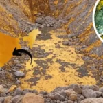 5 Big Gold Mines of India: भारत की धरती में छुपा है ‘सोने का खजाना’, जानिए देश की 5 बड़ी गोल्ड माइंस के बारे में
