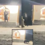 Viral News : मंदिर में घंटी बजाते दिखा भालू, Viral Video
