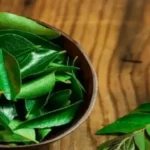 Curry Leaves: करी पत्ता स्वाद के साथ सेहत का भी खजाना, जानिए रोजाना करी पत्ता खाने के चौंकाने वाले फायदे