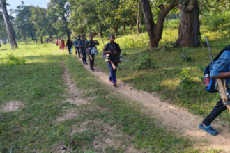 CG : बस्तर में नक्सल उन्मूलन की दिशा में ऐतिहासिक सफलता, 200 से अधिक माओवादी कैडर करेंगे आत्मसमर्पण