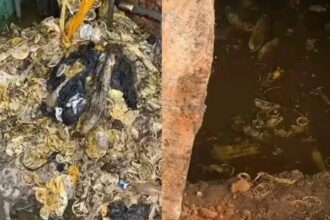 Viral News : गर्ल्स हॉस्टल की पाइप लाइन कंडोम से जाम ! सफाई में निकले… जानें सच्चाई - Viral Video