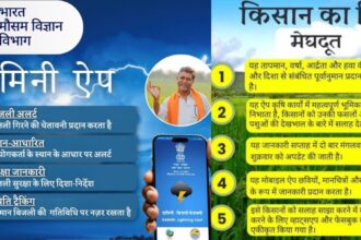 Raipur : आकाशीय बिजली और मौसम की जानकारी देंगे दामिनी और मेघदूत ऐप