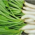 Benefits Of Radish: सर्दियों में मूली ज़रूर खाएं, जानिए स्वास्थ्य के लिए इसके 5 बेहतरीन फायदे