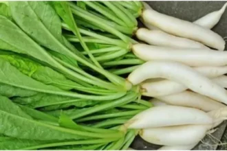 Benefits Of Radish: सर्दियों में मूली ज़रूर खाएं, जानिए स्वास्थ्य के लिए इसके 5 बेहतरीन फायदे