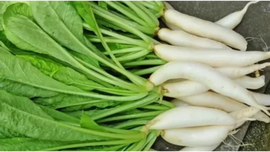 Benefits Of Radish: सर्दियों में मूली ज़रूर खाएं, जानिए स्वास्थ्य के लिए इसके 5 बेहतरीन फायदे