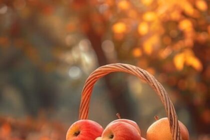 Apple Benefits: रोजाना खाएं एक सेब, पाएं सेहत के जबरदस्त फायदे