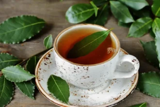 Bay Leaf Benefits: वजन घटाने से लेकर बेहतर नींद तक, तेजपत्ते की चाय के चमत्कारी लाभ