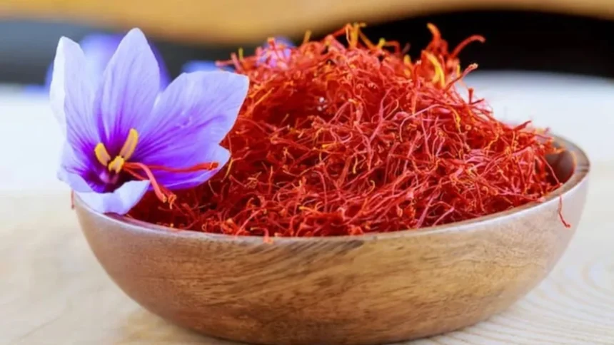 Saffron Benefits : सर्दियों का सुपरफूड केसर, रोज़ाना सेवन से मिलते हैं कई स्वास्थ्य लाभ