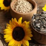 Sunflower Seeds For Skin: सूरजमुखी के बीज से पाएं ग्लोइंग त्वचा, जानें फायदे और आसान इस्तेमाल के तरीके