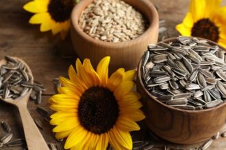 Sunflower Seeds For Skin: सूरजमुखी के बीज से पाएं ग्लोइंग त्वचा, जानें फायदे और आसान इस्तेमाल के तरीके