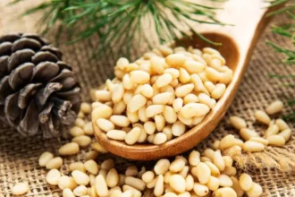 Chilgoza Benefit : सर्दियों में हड्डियों और जोड़ों के दर्द में राहत दिलाएगा चिलगोजा, जानें फायदे व उपयोग की पूरी जानकारी