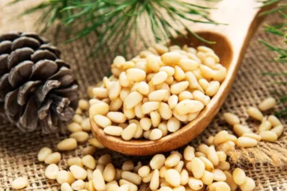 Chilgoza Benefit : सर्दियों में हड्डियों और जोड़ों के दर्द में राहत दिलाएगा चिलगोजा, जानें फायदे व उपयोग की पूरी जानकारी