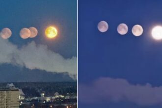 4 Moons in Russia : रूस के आसमान में अद्भुत नज़ारा, एक साथ दिखे चार चांद; ‘मून डॉग’ की दुर्लभ घटना ने किया हैरान - Viral Video