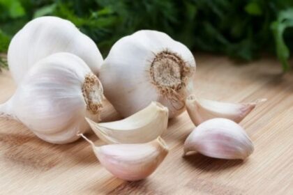 Garlic Benefits : लहसुन के फायदे और स्वास्थ्य लाभ: जानिए क्यों इसे कहते हैं प्राकृतिक औषधि