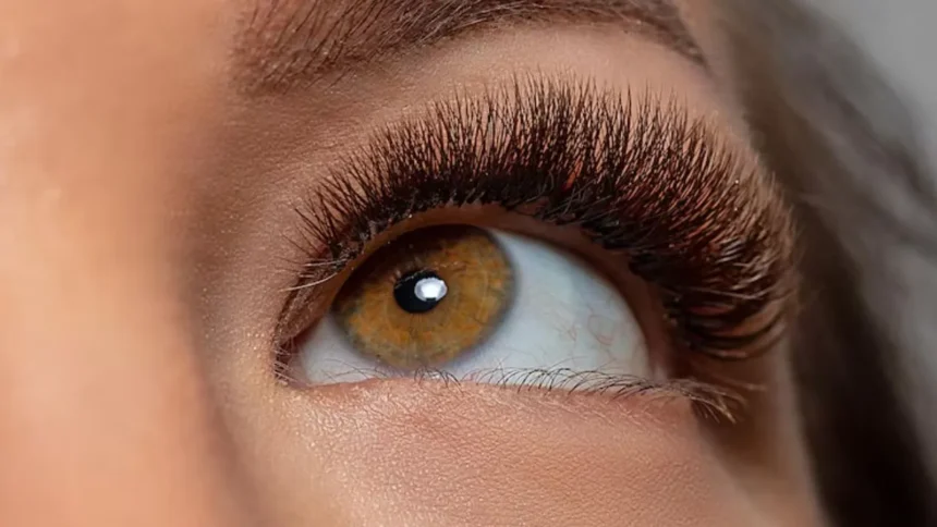 Eyelashes Growth Tips: पलकों को लंबा और मजबूत बनाएंगे ये आसान और असरदार नुस्खे