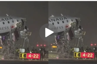 New York के La Guardia Airport पर भीषण हादसा : प्लेन और फायर ट्रक में टक्कर, कई लोगों के मौत की आशंका- देखें VIDEO