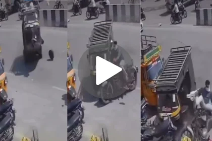 Viral News : ऑटो हवा में उछल कर बाइक पर गिरा, देखें खतरनाक एक्सीडेंट का Video