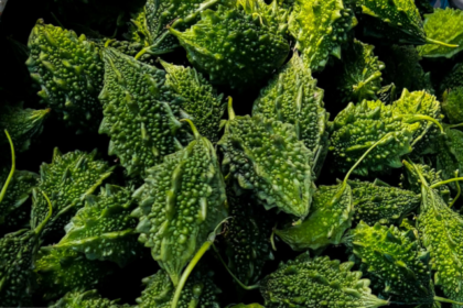 Karela Benefits : करेला खाने के फायदे