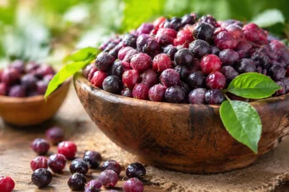 Phalsa Benefits : गर्मियों का सुपरफूड फालसा: छोटा फल, बड़े फायदे ; जानें क्यों इसे डाइट में करें शामिल