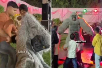 Viral News : गोरिल्ला कॉस्ट्यूम पहनकर पार्टी में एंटरटेनमेंट, कुछ घंटों में कमाए ₹5000! अनोखा बिजनेस आइडिया Video Viral