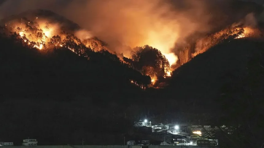 Japan में 30 साल की दूसरी सबसे बड़ी घटना, 11 दिन बाद काबू में आई जंगल की लगी भीषण आग