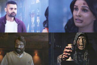 Vikram Bhatt की हॉरर फिल्म Haunted 3D: Echoes of the Past का फिर चला जादू, पहले दिन Box Office पर किया धमाल