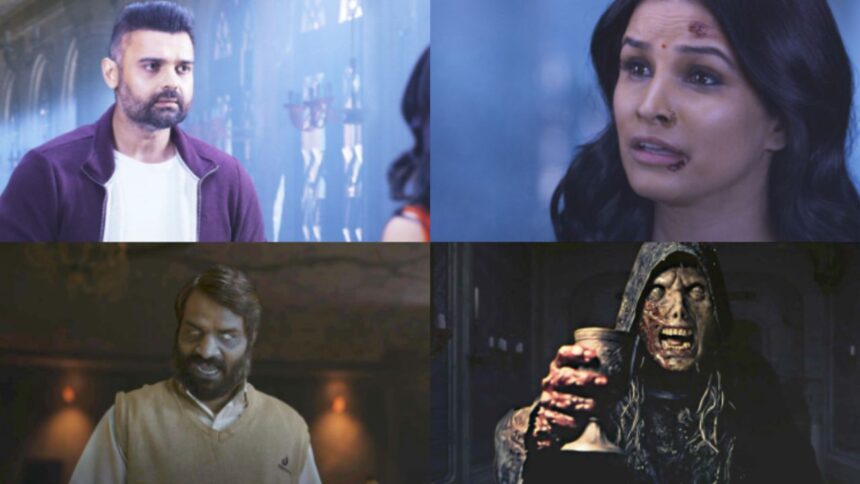 Vikram Bhatt की हॉरर फिल्म Haunted 3D: Echoes of the Past का फिर चला जादू, पहले दिन Box Office पर किया धमाल