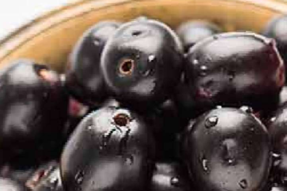 Jamun Benefits : जामुन खाने के फायदे